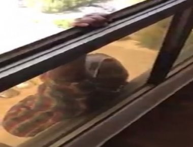 Οικιακή βοηθός πέφτει από τον 7ο όροφο ενώ το αφεντικό ... απλά «τραβούσε» βίντεο - Προσοχή σκληρές εικόνες